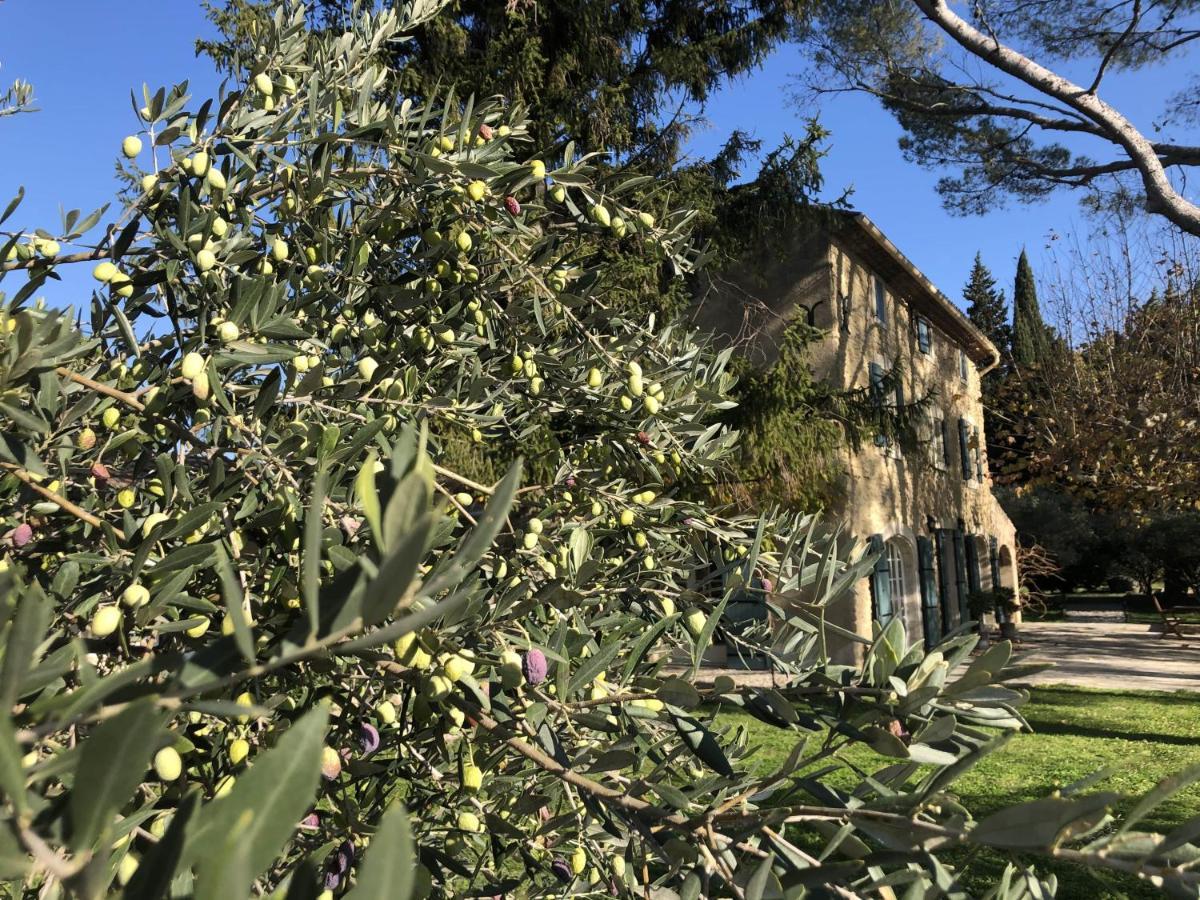 Desir De Provence Bed & Breakfast Sarrians Ngoại thất bức ảnh